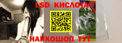 a pvp Брянск