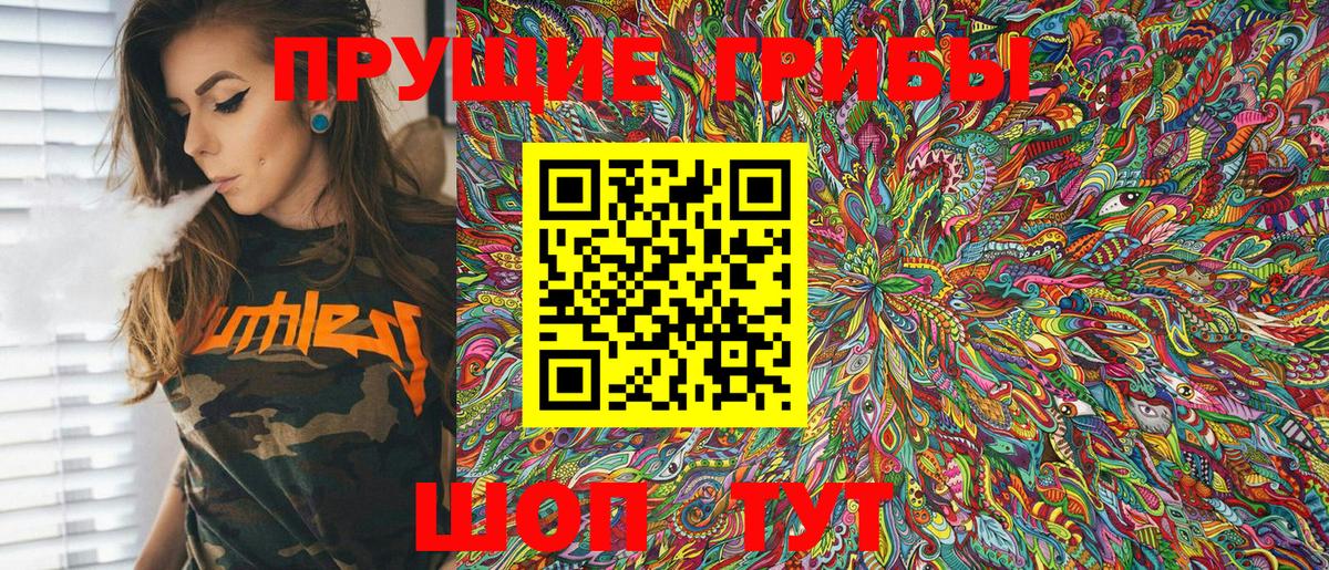 Псилоцибиновые грибы Psilocybine cubensis Дзержинский