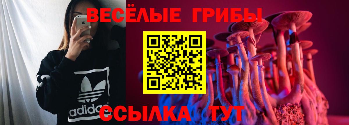 Галлюциногенные грибы ЛСД  Галлюциногенные грибы мухоморы  Дзержинский  Вход с VPN 